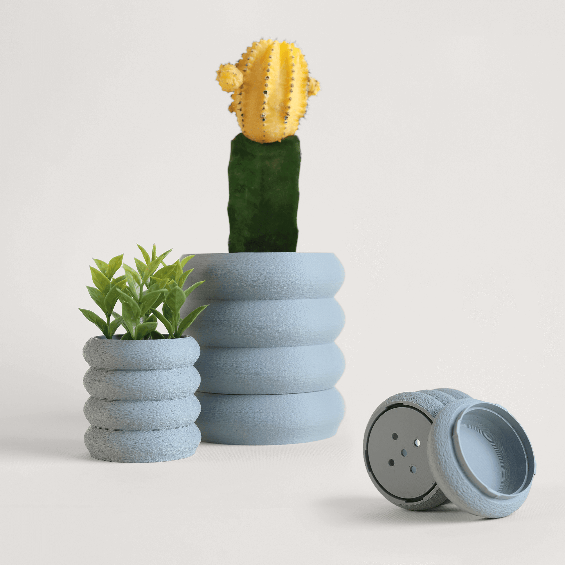 Stacked planters with a hidden drip tray. they are holdin a cactus and succulent on a light background